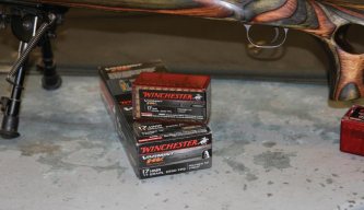 Winchester 17HMR Varmint HV