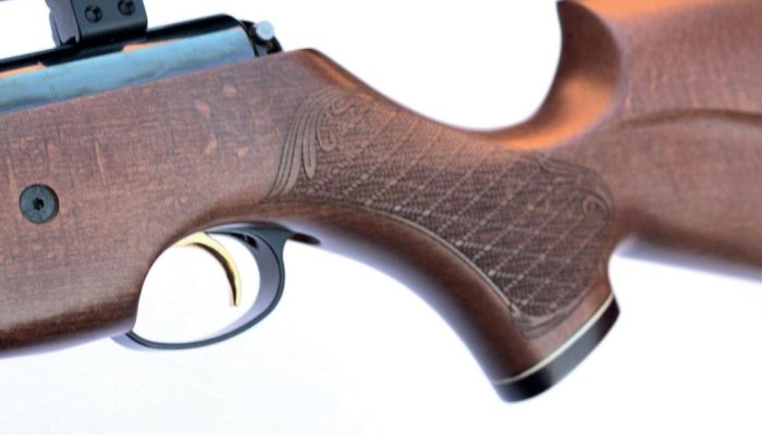 Air Arms Pro Sport - image {image:count}