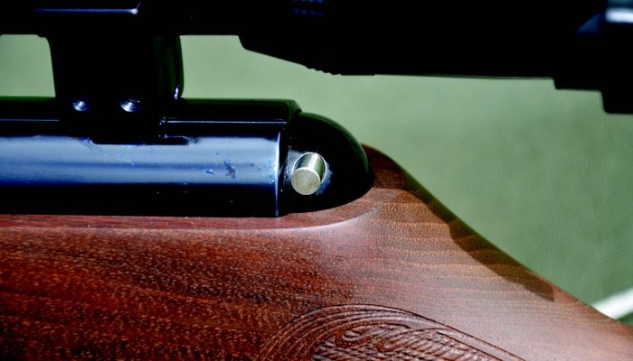 Air Arms Pro Sport Review - image {image:count}