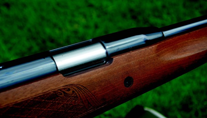Air Arms Pro Sport Review - image {image:count}