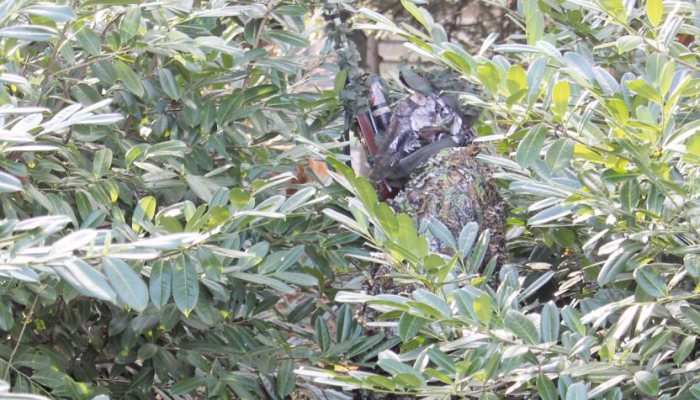 Airgun Hunter: New Camo - image {image:count}