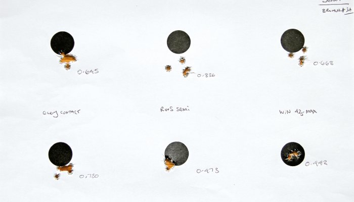 Ammo Test - 22LR Subsonic Ammo - image {image:count}