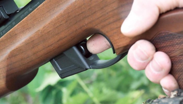 Anschutz 1761 17HMR - image {image:count}