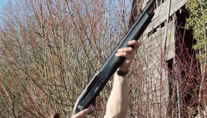 ATA Venza Synthetic Game - image {image:count}