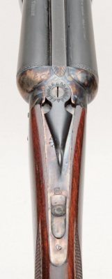 AYA Yeoman - image {image:count}