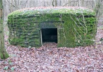 Battlefield Tours - Trips into History - image {image:count}