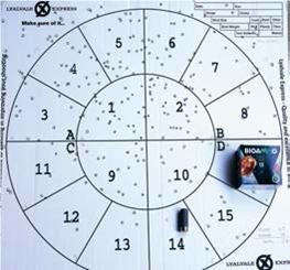 Bio Ammo Rex Steel - image {image:count}