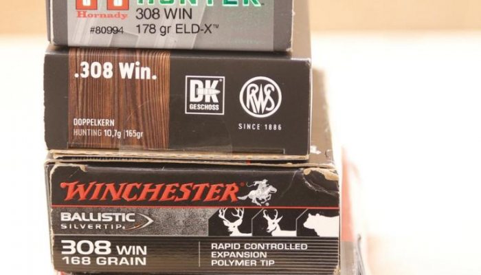 Blaser R8 Silence - image {image:count}