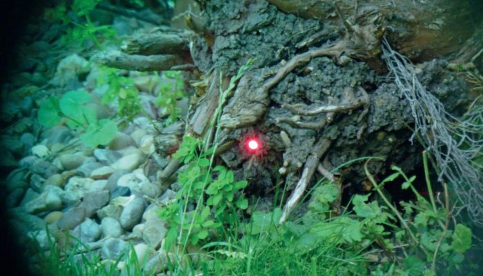Bushnell AR TRS-26 Red Dot Sight - image {image:count}