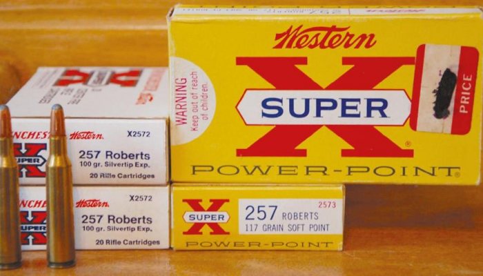 Case Histories: 257 Roberts - image {image:count}