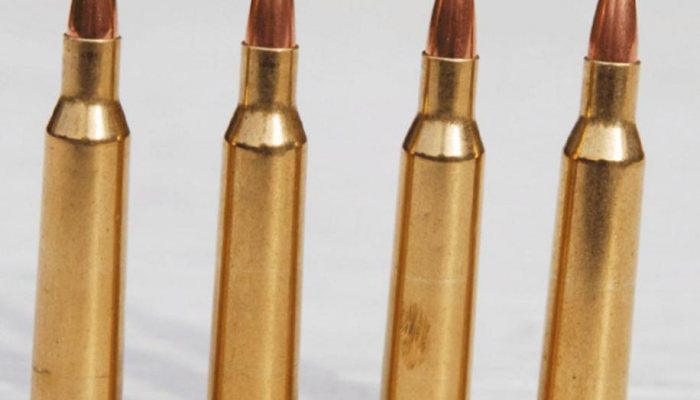 Case Histories: 257 Roberts - image {image:count}