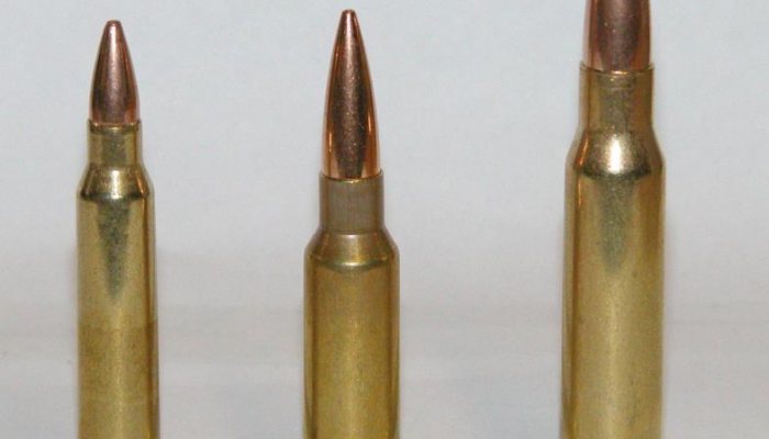 Case Histories: 6.5 Grendel - image {image:count}