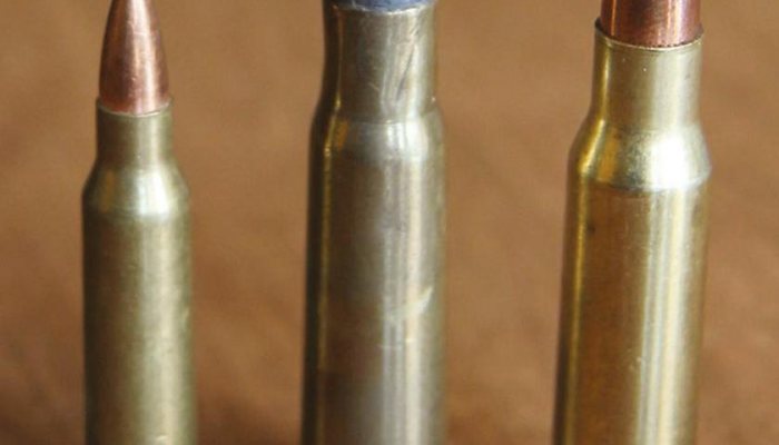 Case History - 33 Winchester - image {image:count}