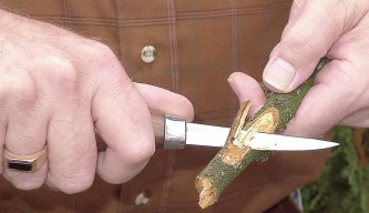 Casstrom Carving Knives