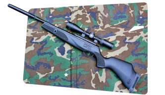 Top Ten Airguns for Plinking & Hunting