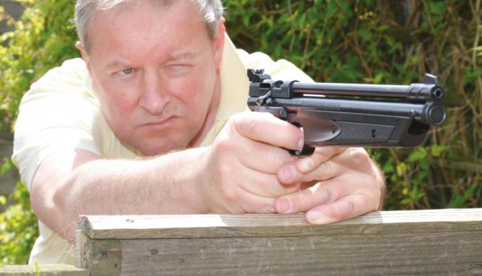 Crosman p1377 American Classic