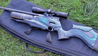 Daystate Red Wolf Midnight