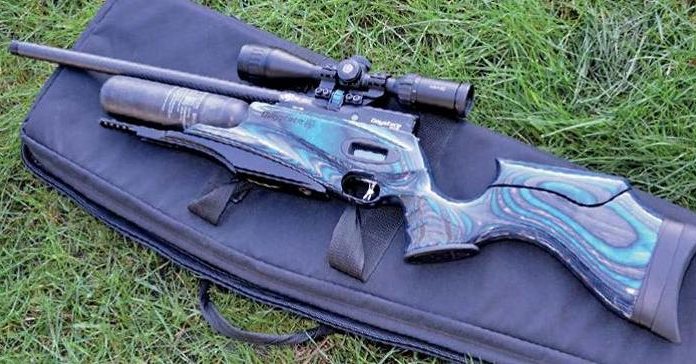 Daystate Red Wolf Midnight