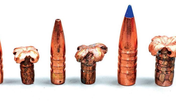 Deer bullets and how they work - image {image:count}