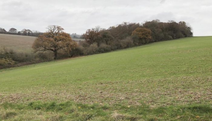 Deer Hunter: Three Small Woods - image {image:count}