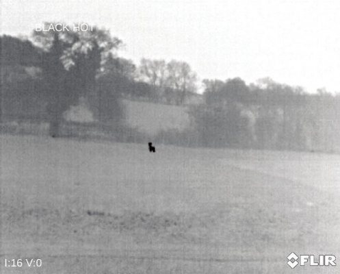 Flir Thermal Monocular - image {image:count}
