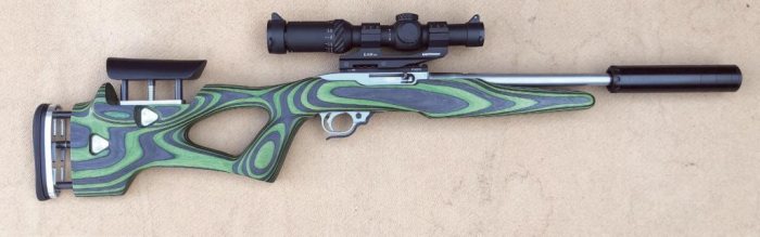 Form Rifle Stocks - Ruger 10/22 - image {image:count}