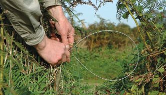 Scotland rules out a ban on selling snares