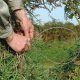 Scotland rules out a ban on selling snares