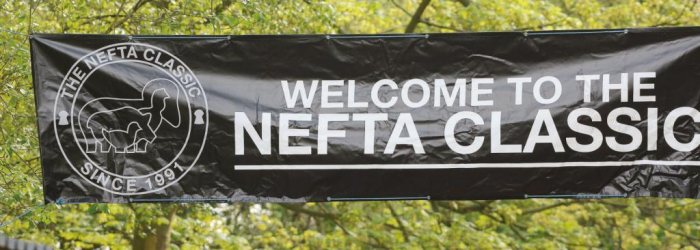 FT Blog: A classic Weekend? - image {image:count}