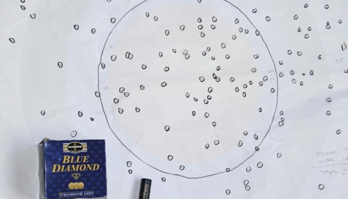 Gamebore Blue Diamond - image {image:count}