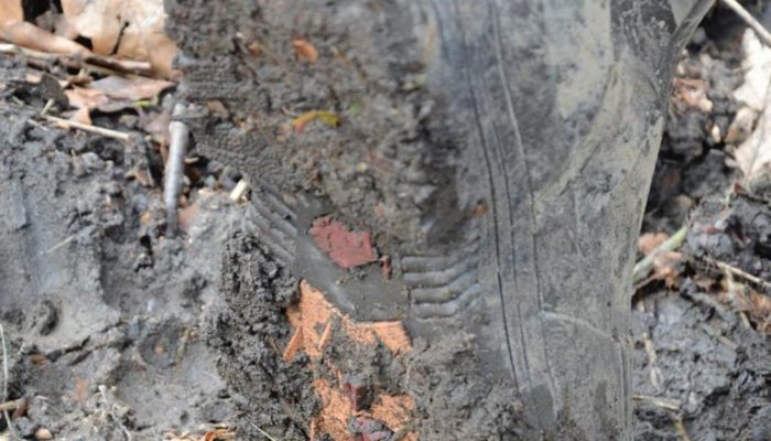 Gateway Game Ladies Wellies - image {image:count}