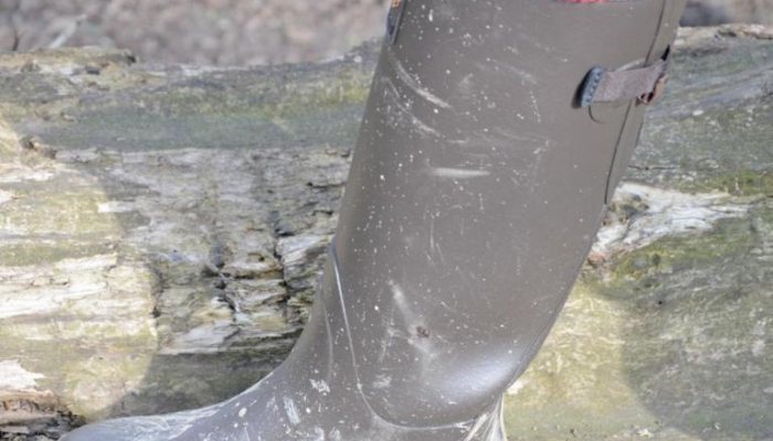 Gateway Game Ladies Wellies - image {image:count}