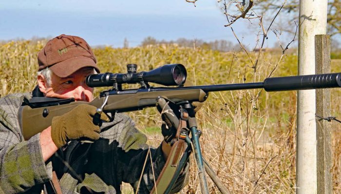 Getting Started in Deer Stalking - image {image:count}