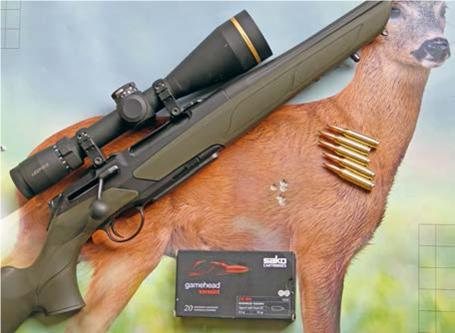 Getting Started in Deer Stalking - image {image:count}