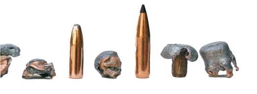 Getting Started in Deer Stalking - image {image:count}