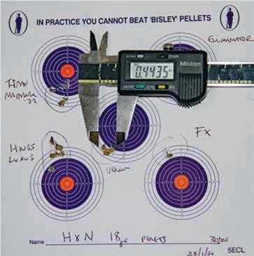 H &N`s new Barracuda 18 grain pellets - image {image:count}