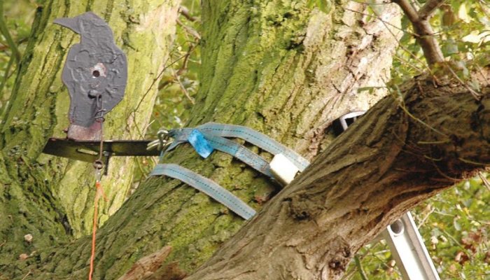 HFT Blog: Conscious Effort - image {image:count}