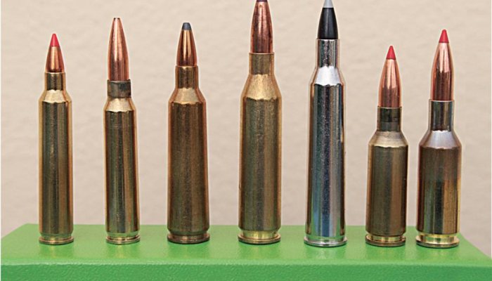 How to Get into Firearms Pest Control - image {image:count}