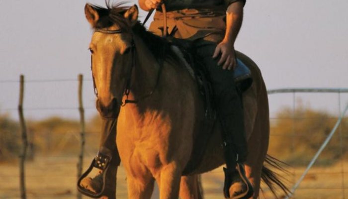 Hunting - Namibia Bound - image {image:count}