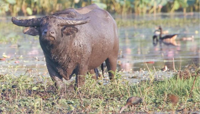 Hunting or Story: Hotter or Better - image {image:count}