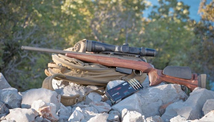 Hunting Story - The High Hunt - image {image:count}