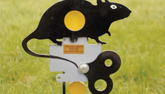Nockover Practice Field Target