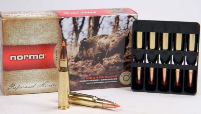 Norma & RWS 308 Ammo Test - image {image:count}