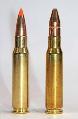 Norma & RWS 308 Ammo Test - image {image:count}
