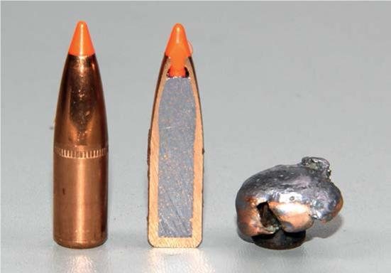 Norma & RWS 308 Ammo Test - image {image:count}