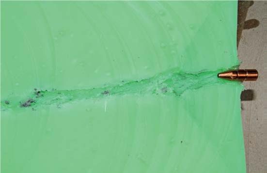 Norma & RWS 308 Ammo Test - image {image:count}