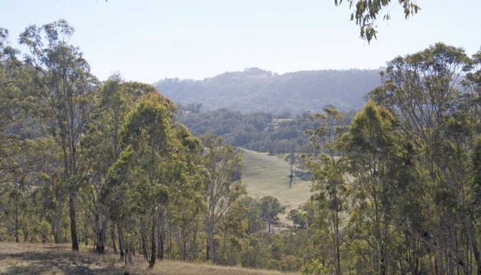 Outback Safari Part 1 - image {image:count}