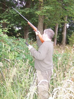 Pest Control Diary: Squirrel control