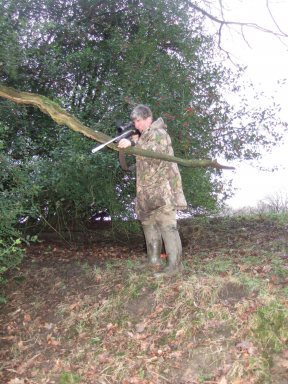 Pest Control Diary: Squirrel control - image {image:count}