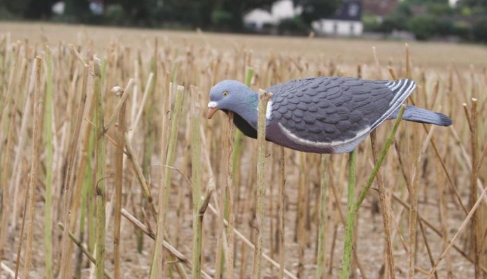 Perfect test - Airgun Hunter